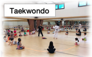 taekwondo hk island.png