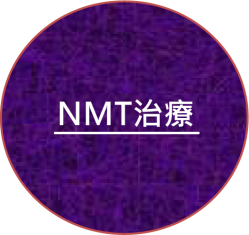NMT.png